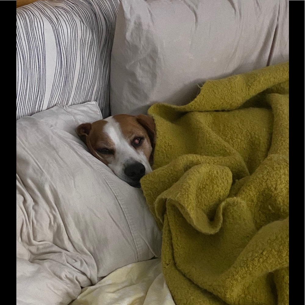 Meet your Posher, April